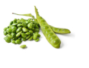 Nitapod - Sator Beans