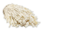 Enoki mushrooms