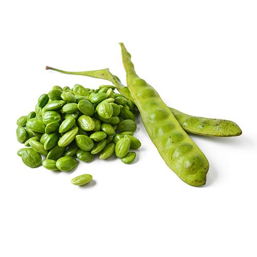 Nitapod - Sator Beans